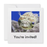 You're invited! invitations