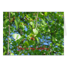 You're my ladybug! card