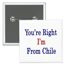 You're Right I'm From Chile Pinback Button
