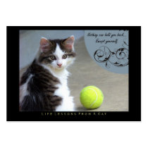 Yourself Life Lessons From a Cat ACEO Art Cards