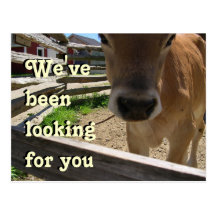 Youth Group Invitation Post Cards