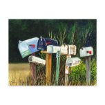 You've Got Mail Postcard