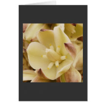 Yucca Bloom Card