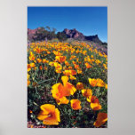 Yucca Plants flowers Poster