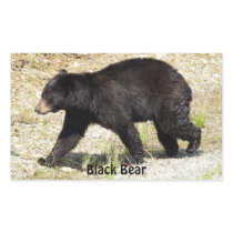 Yukon Black Bear Wildlife Sticker Gifts