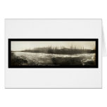 Yukon White Horse Photo 1899 Greeting Card