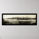 Yukon White Horse Photo 1899 Posters