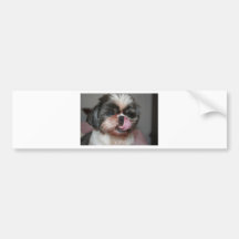 Yum Bumper Stickers