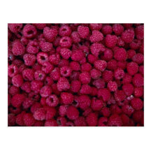 Yummy Raspberries Post Cards