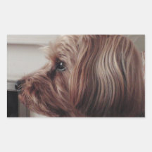 Zac Rectangle Stickers