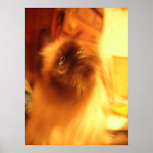 zach1 poster