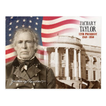 Zachary Taylor - 12th President of the U.S. Postcard