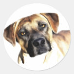 Zack Round Stickers