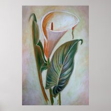 Zantedeschia Affiches