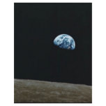 ZAZ274 letterhead