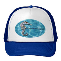 zazzle promotional seahorse hat