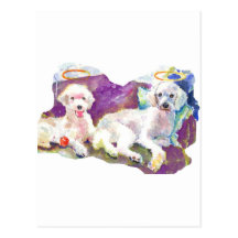ZazzPoodles.jpg Postcards