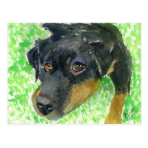 ZazzRottie.jpg Post Card