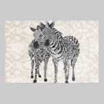 Zeb & Zenya Black & White Art posters