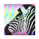 Zebra 2 magnet