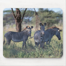 Zebra 2 mouse pads