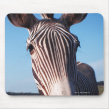 zebra 2 mousepads