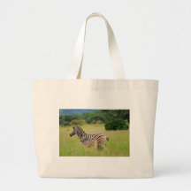 Zebra baby and mom bags