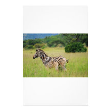 Zebra baby and mom custom stationery