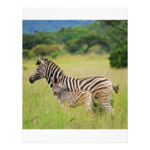Zebra baby and mom letterhead design