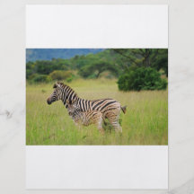 Zebra baby and mom personalized flyer
