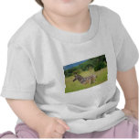 Zebra baby and mom tee shirts