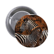 Zebra baby art buttons