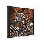 Zebra baby wild animals Africa series Canvas Print