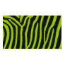 zebra black stripes