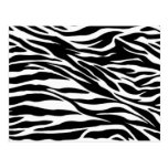 zebra; blank post card