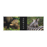 zebra buffalo jungle safari animals Africa Stretched Canvas Print