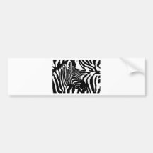Zebra Bumper Sticker