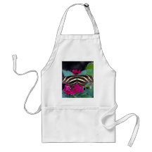 Zebra butterfly, Heliconius charitonius Apron