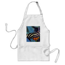 Zebra butterfly, Heliconius charitonius Aprons