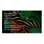 Zebra butterfly on Mexican flaming vine flower Business Card