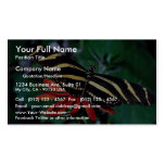 Zebra butterfly on Mexican flaming vine flower Business Card Template