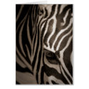Zebra cards