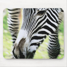 Zebra, close-up, selective focus mousepad