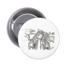 Zebra Drawing Pinback Buttons