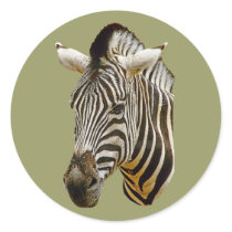 Zebra Drawing Round Stickers