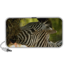 Zebra Eating Doodle Speaker