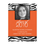 Zebra Fabulous 2010 Graduation Announcement