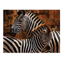 Zebra fall stripes postcards