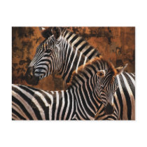 Zebra fall stripes