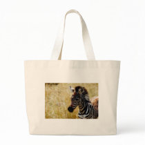Zebra Foal wildlife bags